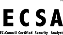 ECSA - Certified Security Analyst - Manitoba