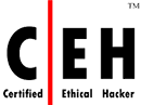 CEH - Certified Ethical Hacker - Louisiana
